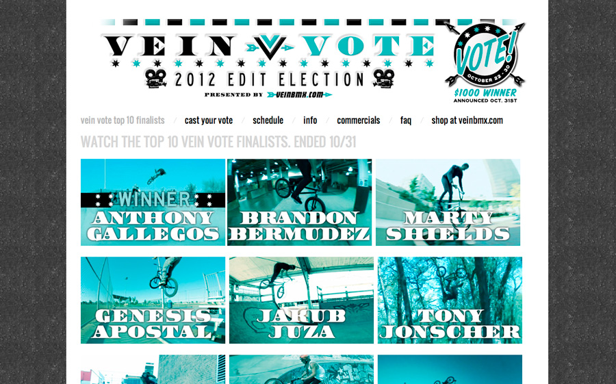 veinvote2012website