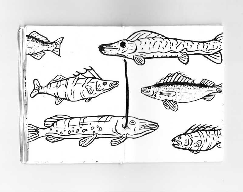 Fishing Sketches